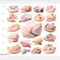 پخش ران سینه وفیله بال و کتف مرغ|خوردنی و آشامیدنی|تهران, جوادیه تهرانپارس|دیوار
