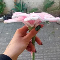 گل دست ساز|گل مصنوعی|گرگان, |دیوار