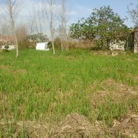 ویلاباغ زیباویوابدی۱۲۰۰متر سندتکبرگ مسکونی|فروش خانه و ویلا|رشت, بوسار|دیوار