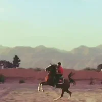 اسب خوش روش