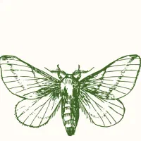 استودیو عکاسی زد