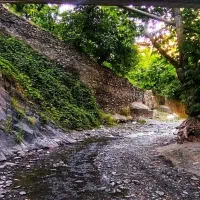 آقام ۴۲ ساله