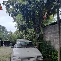 پژو آردی ۸۴ انژکتور