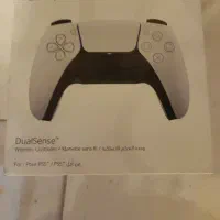 دسته پی اس ۵