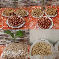 حبه عناب