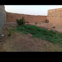 زمین چهاردیواری روستای دالستان