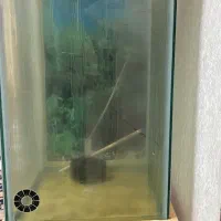 اکواریوم قدی به همراه پایه