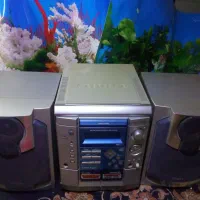 ضبط خانگی ژاپنی
