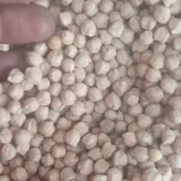 پخش عمده حبوبات به تمام نقاط استان و شهرستان|عمدهفروشی|شیراز, سعدیه جنوبی|دیوار