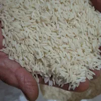 برنج هاشمی دانه درشت یک دست خوش عطر و خوش پخت