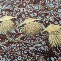 گندم عروسکی