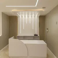 نصب و اجرا لاین نوری به صورت تخصصی( تیم حرفه ای)|خدمات پیشه و مهارت|خاوران, |دیوار