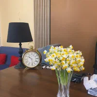 استخدام منشی کلینیک روانشناسی/مدیریت خانم/سجاد|استخدام اداری و مدیریت|مشهد, سجاد شهر|دیوار