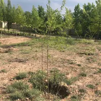 ۱۰۰۰متر زمین کردان کوهسار، موقعیت عالی سرمایه گذاری