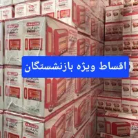 بخاری آراسته ۵المنت برقی