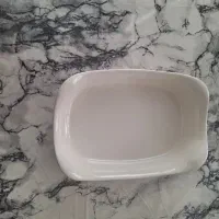 ظروف سرو و غذاخوری