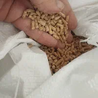 دانه پارس درجه یک