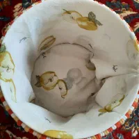 کار دستی|صنایع دستی و سایر لوازم تزئینی|تنکابن, |دیوار