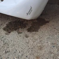 روشویی مروارید|لوازم سرویس بهداشتی|مهاباد (آذربایجان غربی), |دیوار