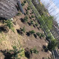 ۳هزارمتر زمین/دارای بنای نیمه کاره دوبلکس با استخر|فروش زمین و ملک کلنگی|سرخرود, |دیوار