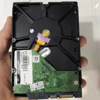 هارد وسترن دیجیتال بنفش 1.5 ترابایت|قطعات و لوازم جانبی رایانه|رشت, فلسطین|دیوار