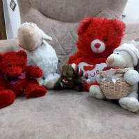 عروسک های گوشتی وپولیشی
