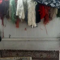 قالی دو متری
