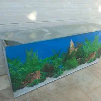 اکواریم بزرگ