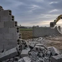 زمین کشاورزی.  باغ  چهار دیواری