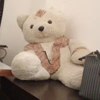 عروسک خرسی و بره پشمالو|اسباببازی بچه|بندرعباس, |دیوار