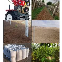 تیلر زنی به صورت حرفه ای هرس باغ اسبار کودکیسه ای