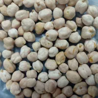 فروش نخود محلی