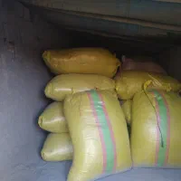 یونجه خرمنکوب زده شده