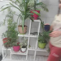 خوابگاه دخترانه کوثر|اجارهٔ خانه و ویلا|شیراز, احمدی جنوبی|دیوار