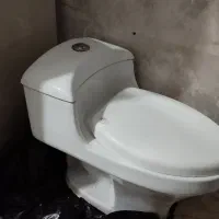 تولت فرهنگی