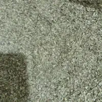 سبزی خشک معطر|خوردنی و آشامیدنی|نیشابور, سرآب کوشک|دیوار