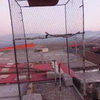 قفس پرنده|لوازم جانبی حیوانات|میانه, |دیوار