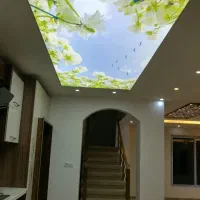 نیروی کار خانم