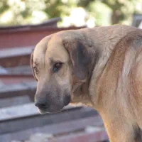 دوربین عکاسی canon|دوربین عکاسی و فیلم‌برداری|کرج, حصارک پایین|دیوار