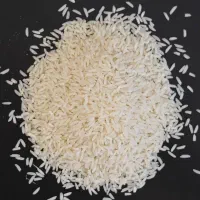 برنج طارم هاشمی
