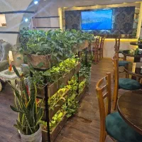 کار در هتل، یکنفر آقا جهت بل بوی و خدمات