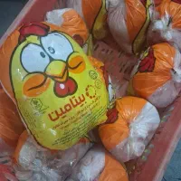 مرغ تازه