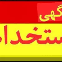 منشی خانم مسلط به کامپیوتر در پارکینگ توقیفی ساحل