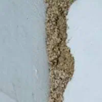 سمپاشی تضمینی|خدمات نظافت|ایلام, |دیوار