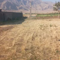 سرارود۱۰۰۰ متر زمین مربعی|فروش زمین و ملک کلنگی|کرمانشاه, |دیوار