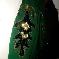 پالتو جواهر وسنگ دوزی شده شیک واستر دوز مزون|لباس|کنارک, |دیوار