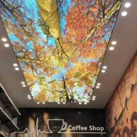 سقف کشسان|خدمات پیشه و مهارت|کاشان, زیدی|دیوار