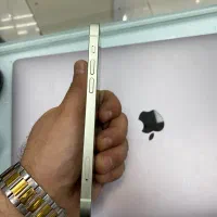 iphone12normal|موبایل|تهران, فلسطین (میدان انقلاب)|دیوار