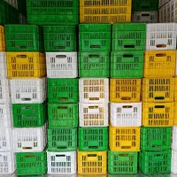 سبد ۲۰ کیلو