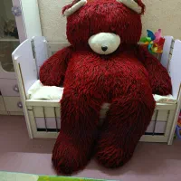 خرس ولیتایم